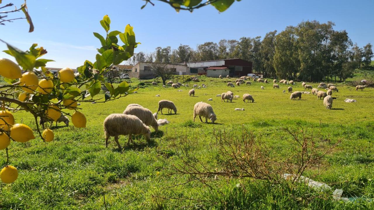 Agriturismo Sa Pigalva Tula Exteriér fotografie