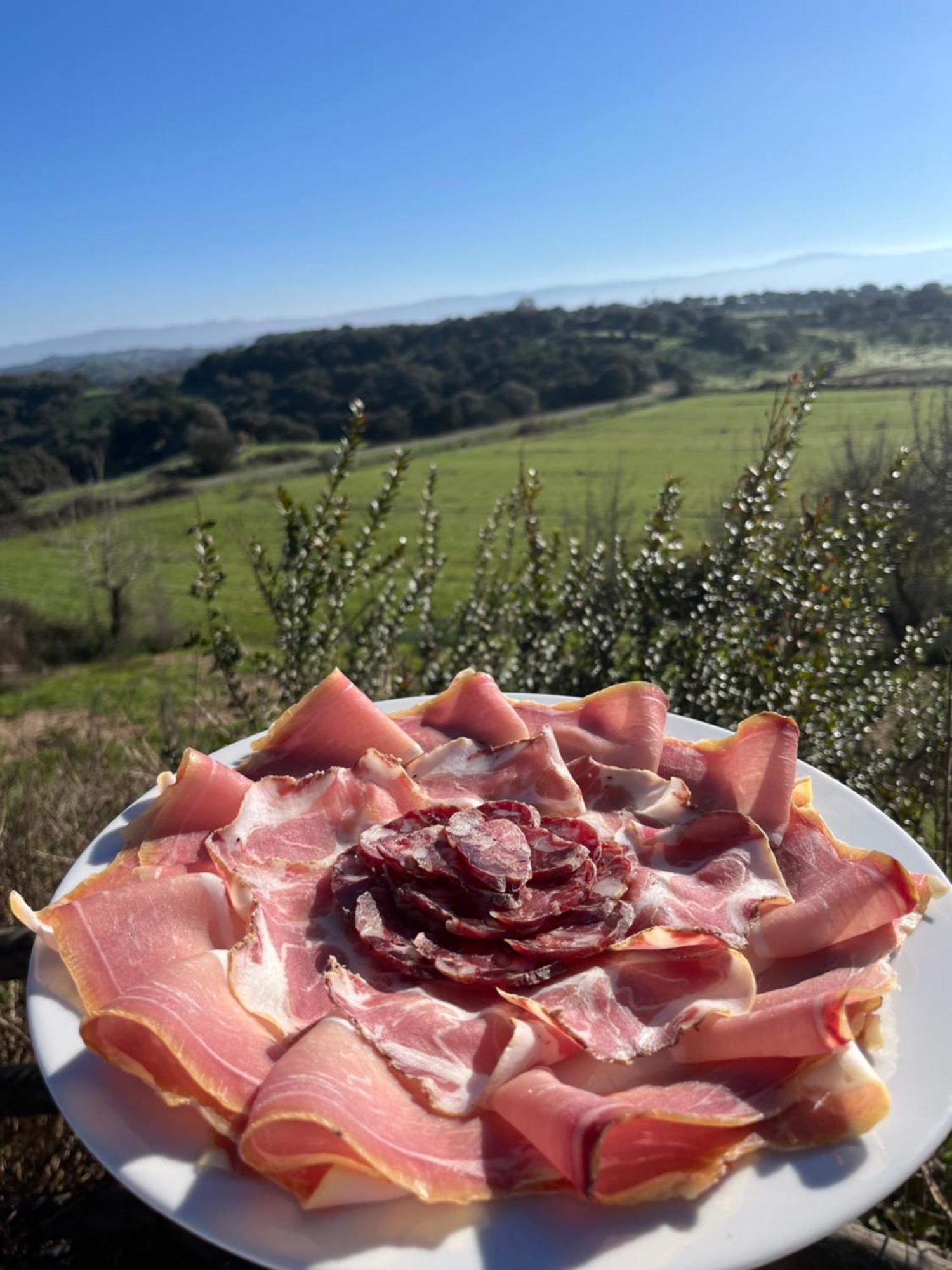 Agriturismo Sa Pigalva Tula Exteriér fotografie