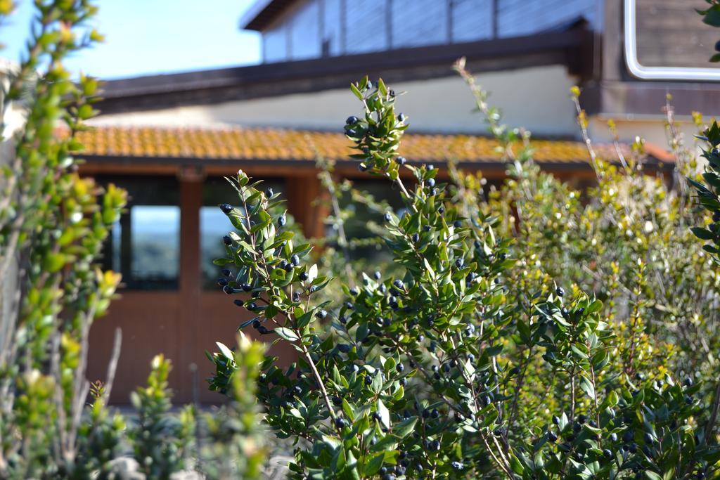 Agriturismo Sa Pigalva Tula Exteriér fotografie