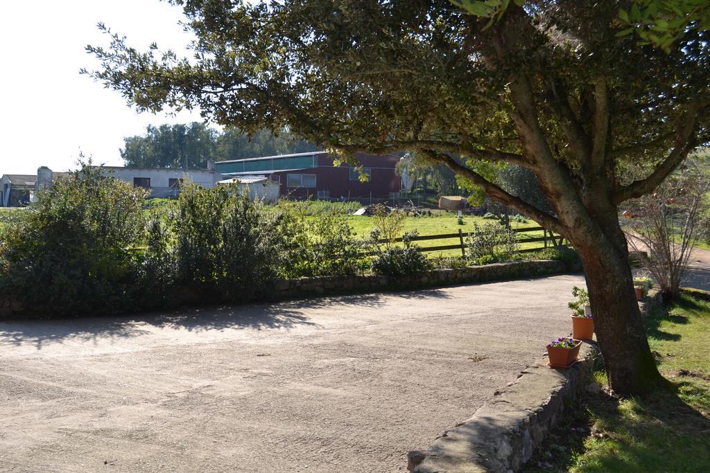 Agriturismo Sa Pigalva Tula Exteriér fotografie