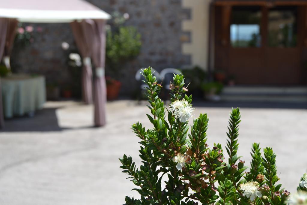 Agriturismo Sa Pigalva Tula Exteriér fotografie